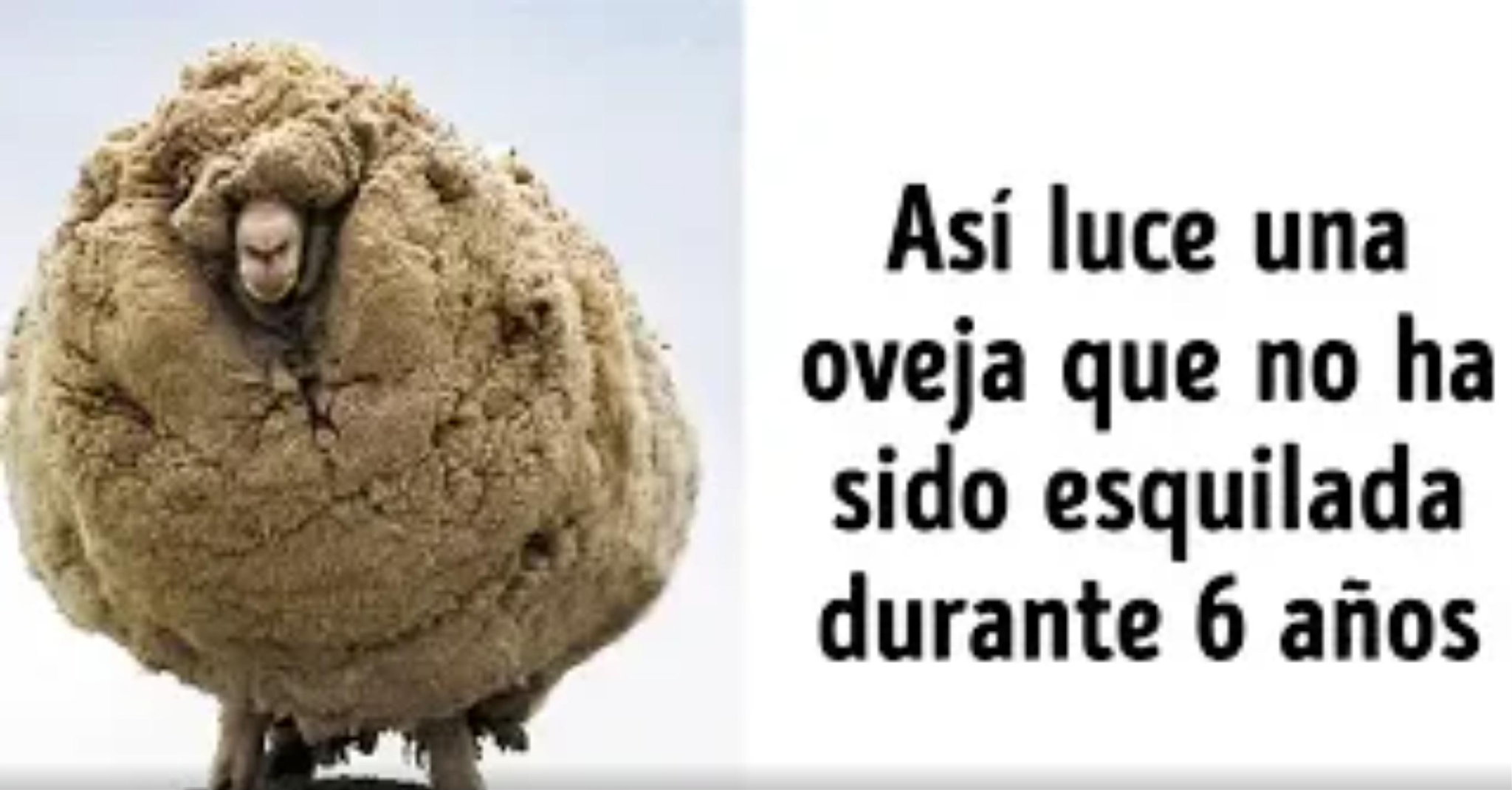 10 Eventos más extraños y curiosos que han sucedido en el mundo - Dato ...